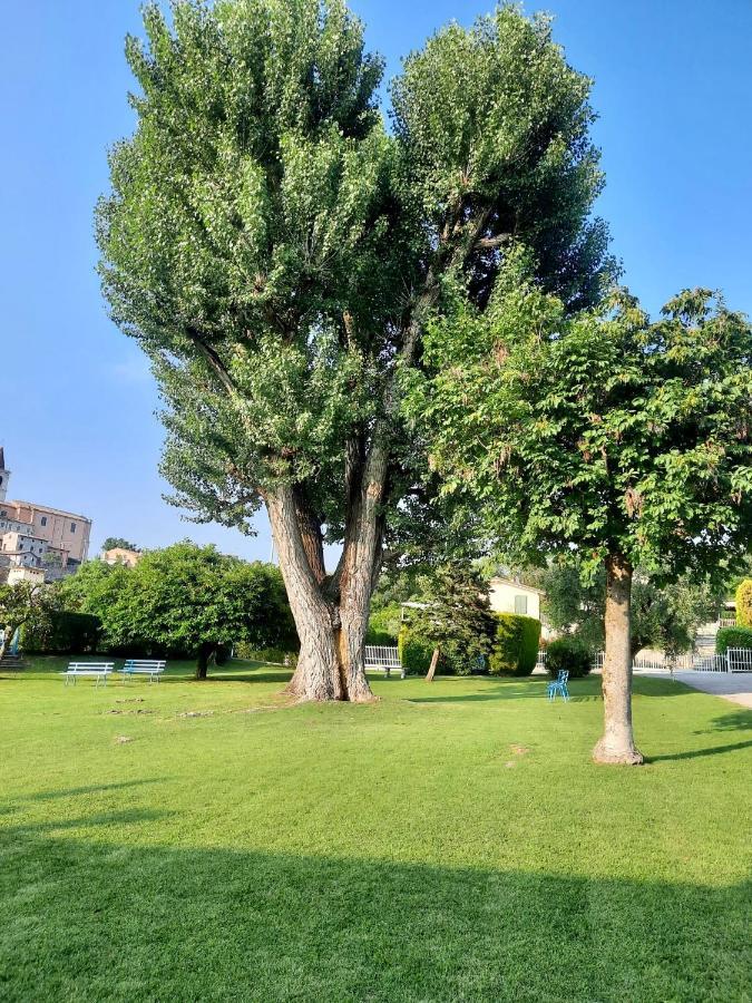 Residenza Palmira Bardolino Apartment Calmasino Exterior foto